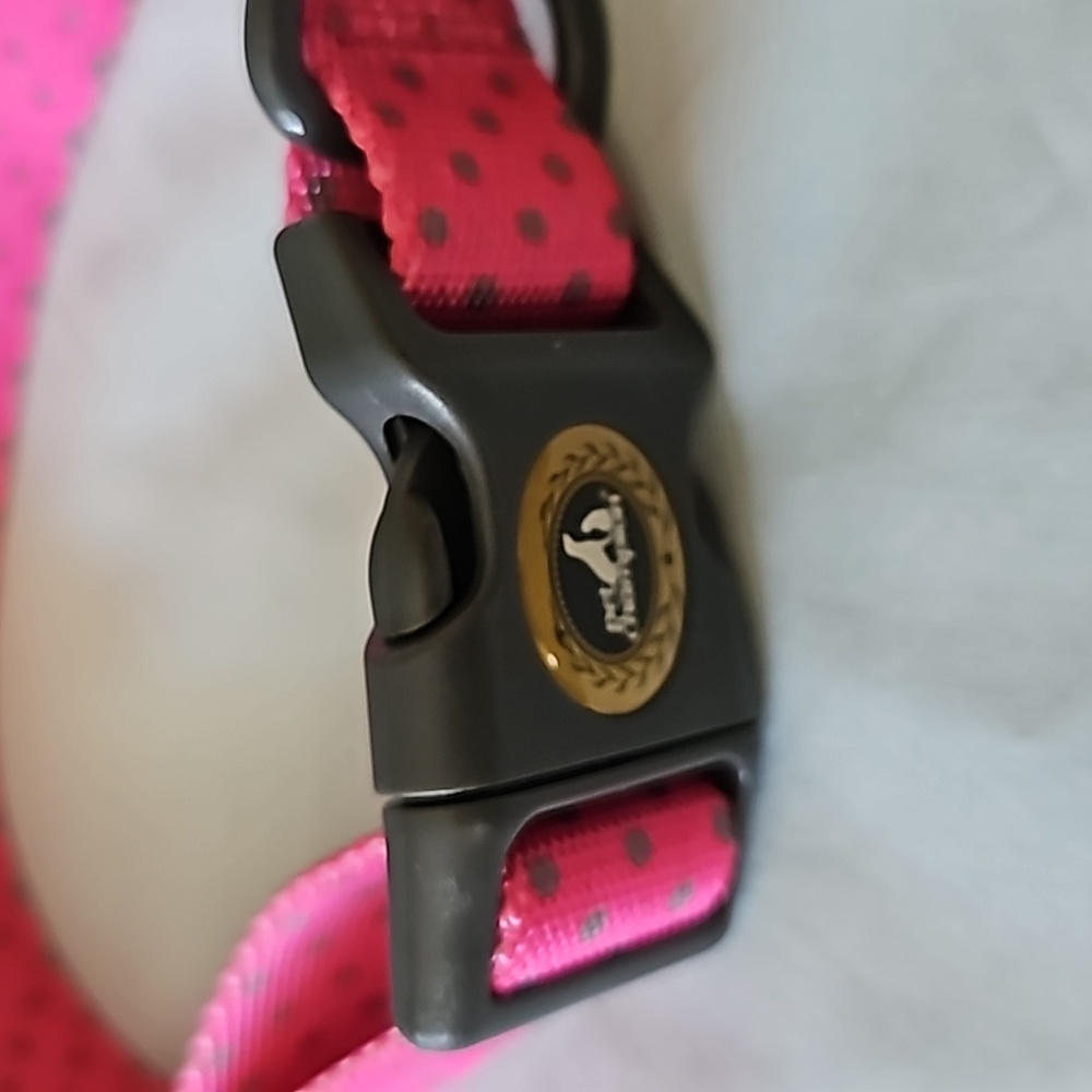 Doggie Collar - Picture 2 of 3